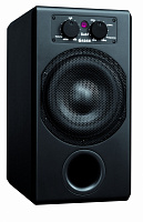 ADAM Sub7